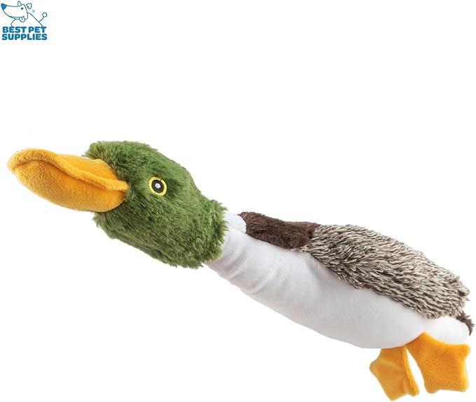 Best Pet Supplies Interactive Mallard Mates Dog Toy with Crinkle and Squeaky Enrichment for Small and Medium Breed