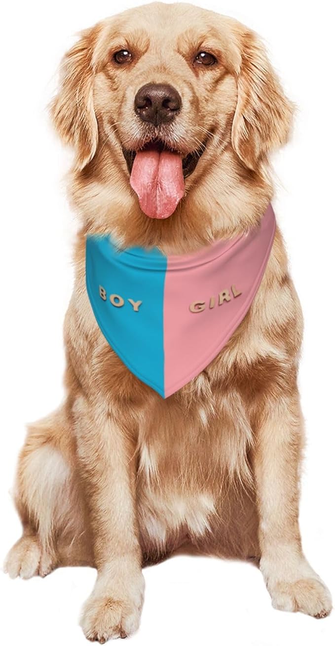 He Or She What Will It Be? Gender Reveal/Baby Announcement Dog Bandana,Pet Neckerchief for Pets Daily Wear Photo Prop Party Supplies (Three-Dimensional)