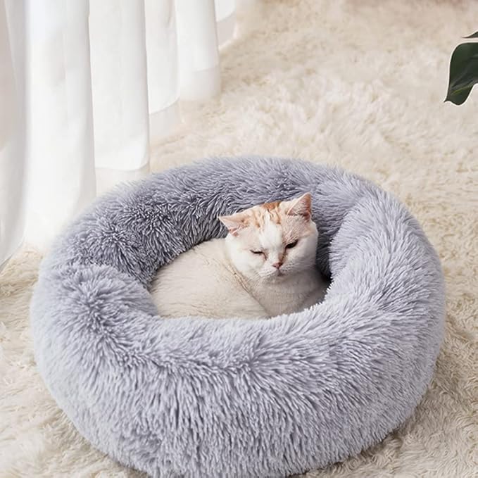 Geizire Cat Beds for Indoor Cats