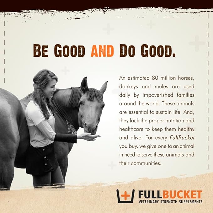 Daily Dog Probiotic 30 Servings