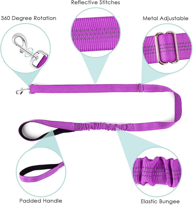 Lukovee Dog Harness and Leash Set 4ft Lightweight