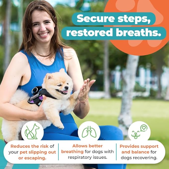 Joyride Harness 2.0 3 Leash