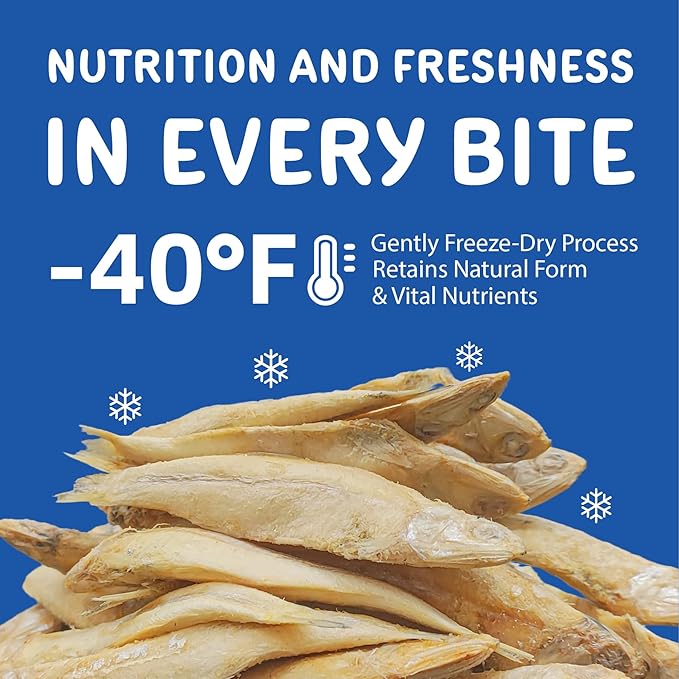 Freeze Dried Minnows for Cats & Dogs (1.5 oz)