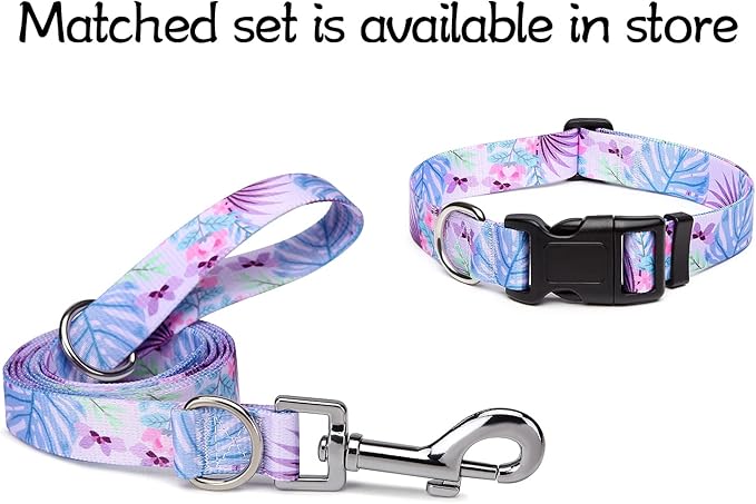 Adjustable Dog Collar with Patterns