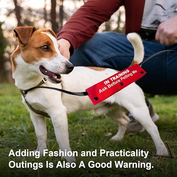 YROVWENQ Funny Dog Leash Red Wrap for Dog