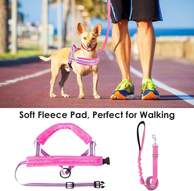 Lukovee Dog Harness and Leash Set 4ft Lightweight