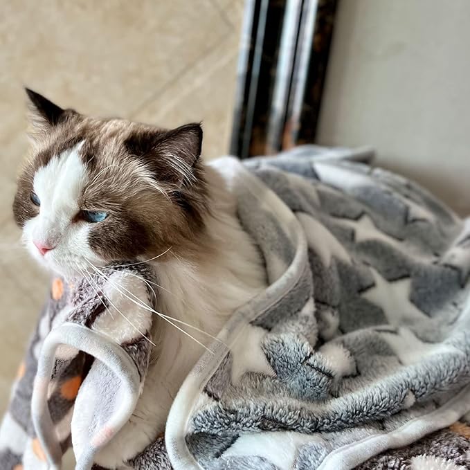 1 Pack 3 Puppy Blankets Cat Dog Blankets Small(23"x15")