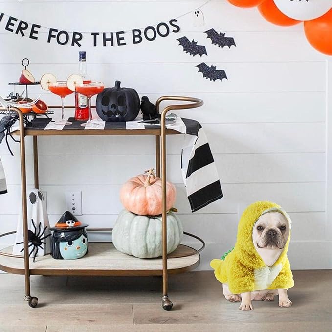 HOTUMN Dog Dinosaur Halloween Costume