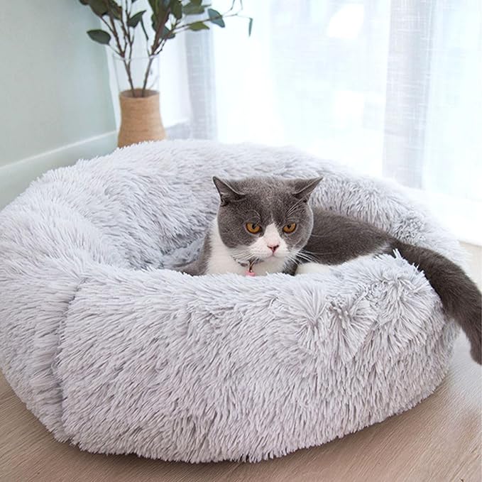 Cat Beds for Indoor Cats (15.7", Light