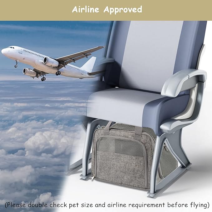 Soft Pet Carrier Breathable Mesh Window 12 lbs