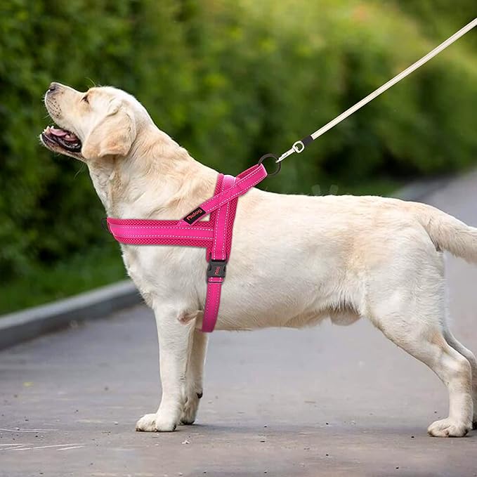 Didog Soft Mesh Padded Dog Vest Harness 26-32", Mesh-Hot