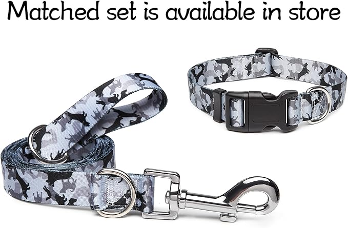 Adjustable Dog Collar with Patterns
