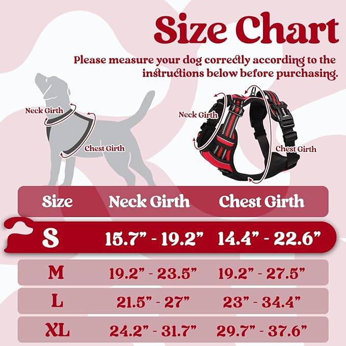 rabbitgoo Dog Harness Small Sized 3 Buckles,