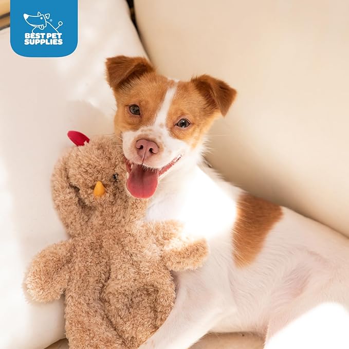 Best Pet Supplies Chicken Crinkle Plush Dog Toys for Interactive Play