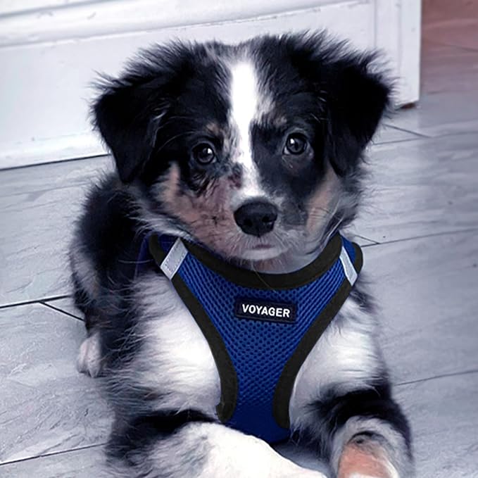 Voyager Step-in Air Dog Harness 16-18")