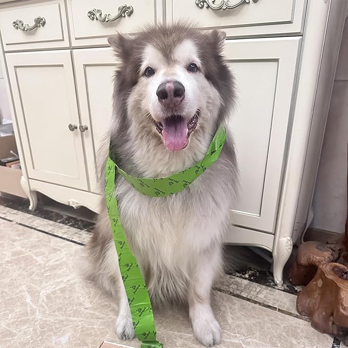 Dog Poop Bags with Handles 20 Rolls 240