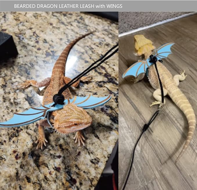 Bearded Dragon Leash and Harness Set