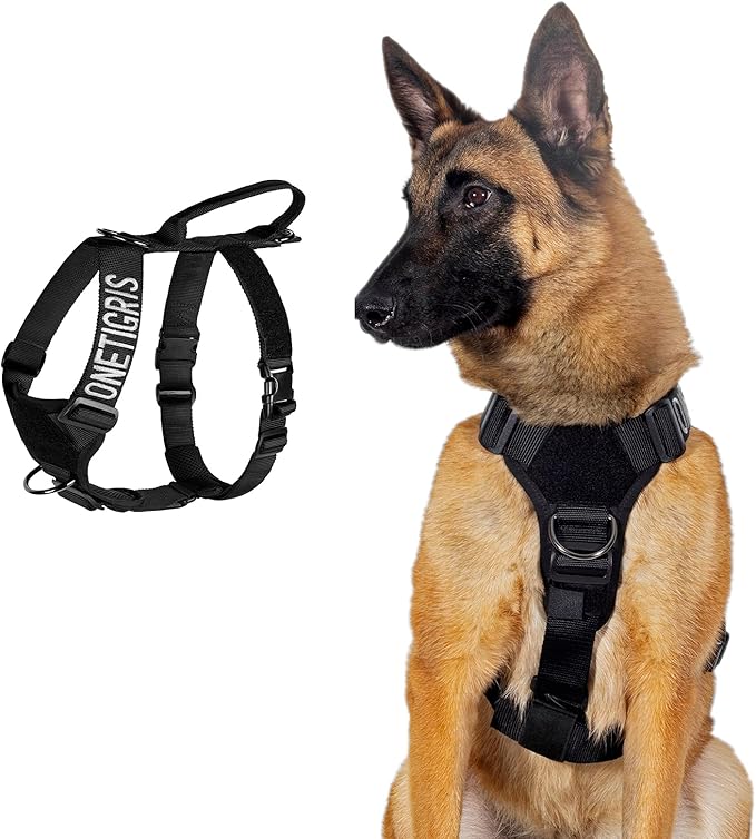 Dog Harness