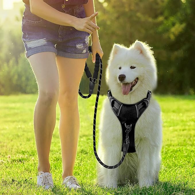 BARKBAY Dog Harness No Pull with ID Tag Pocket