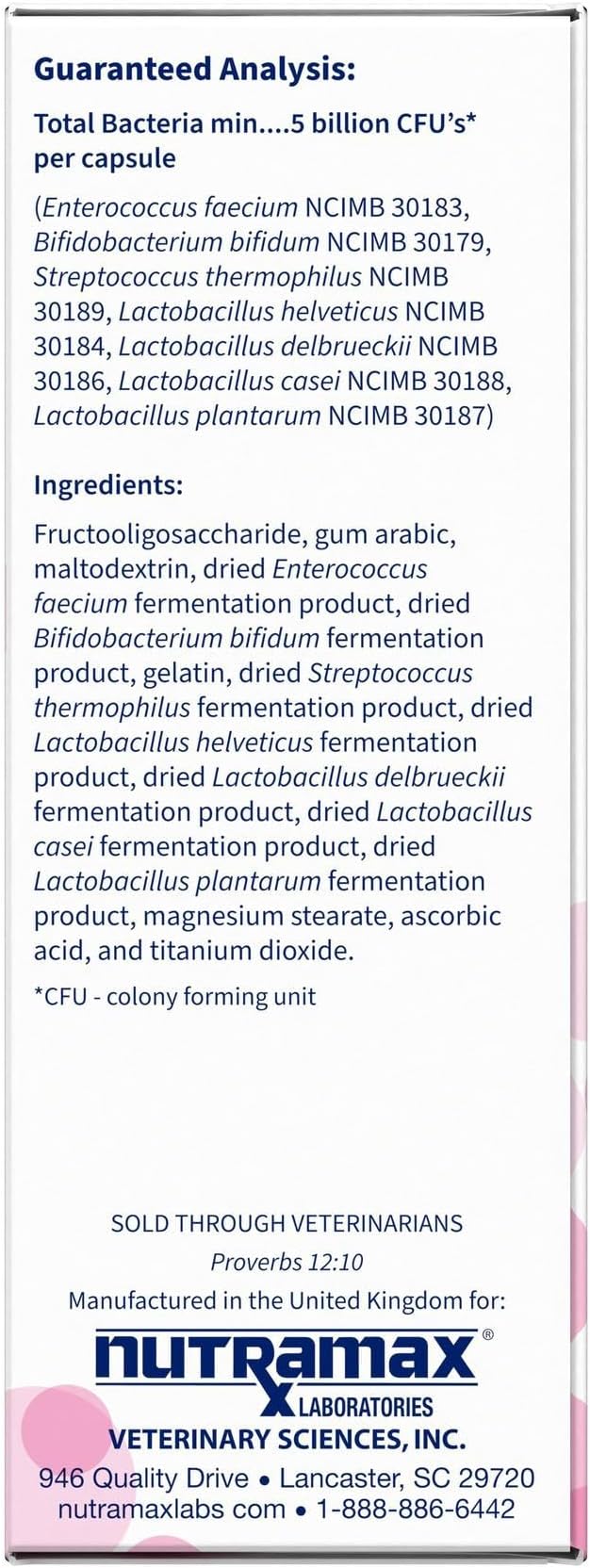 Nutramax Proviable Digestive Health Supplement Multi-Strain Probiotics and Prebiotics for Cats and Dogs 7 Strains 30 Capsules