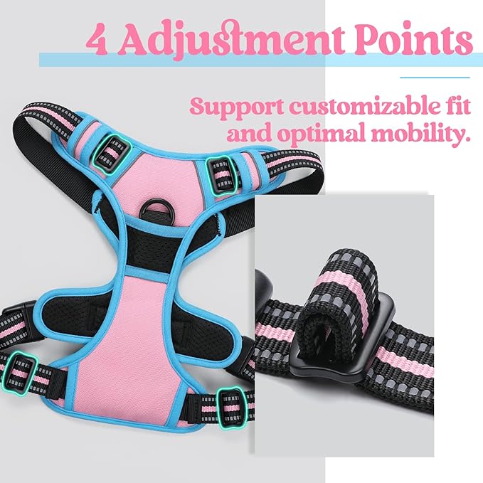 rabbitgoo Dog Harness 2 Leash