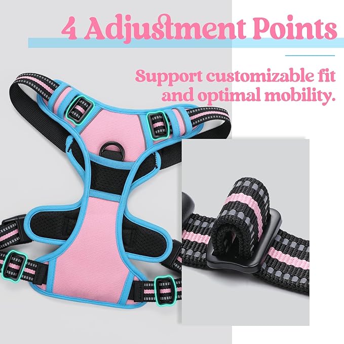 rabbitgoo Dog Harness 2 Leash