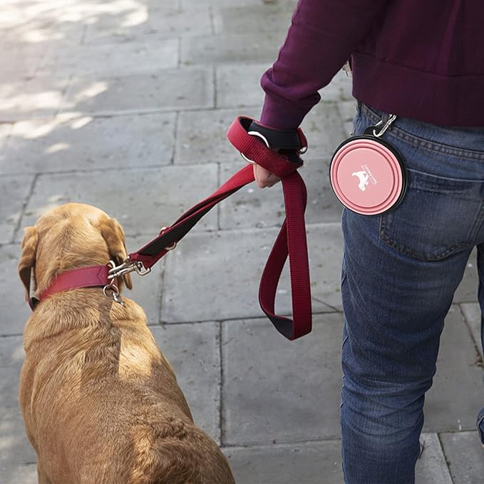 Collapsible Dog Bowls for Travel 2-Pack Dog 2 Carabiners,