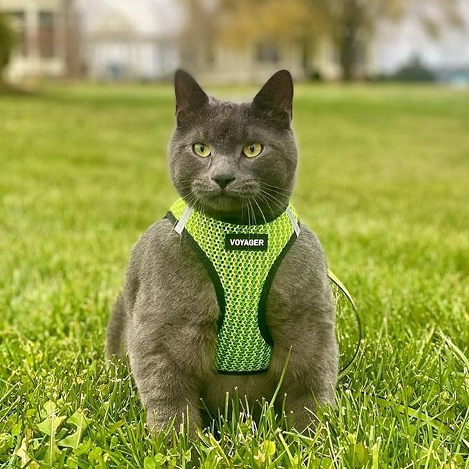 Voyager Step-in Air Dog Harness 2-Tone), XS 13-14.5")