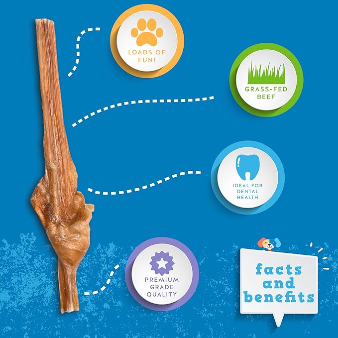 Jack&Pup for Dogs Bladder Bully Sticks for Small Dogs 6 Inch (10 Pack)