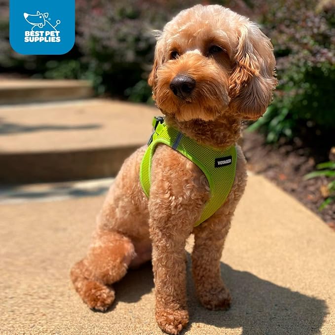 Voyager Step-in Air Dog Harness 20.5-23")