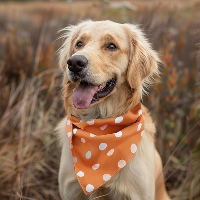 Fall Dog Bandana 2 Pack Thanksgiving Dog Bandana Polka Dot Pet Scarf Reversible Fall Triangle Bibs Soft Cotton Boy Girl Dog Bandanas Accessories for Small, Medium, Large Dogs (Large)