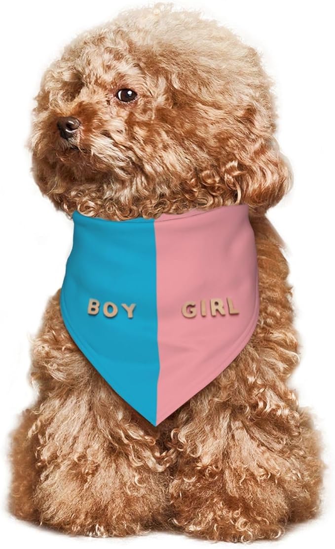 He Or She What Will It Be? Gender Reveal/Baby Announcement Dog Bandana,Pet Neckerchief for Pets Daily Wear Photo Prop Party Supplies (Three-Dimensional)