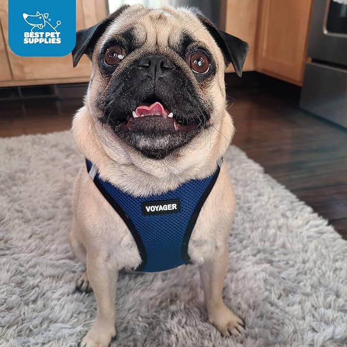 Voyager Step-in Air Dog Harness