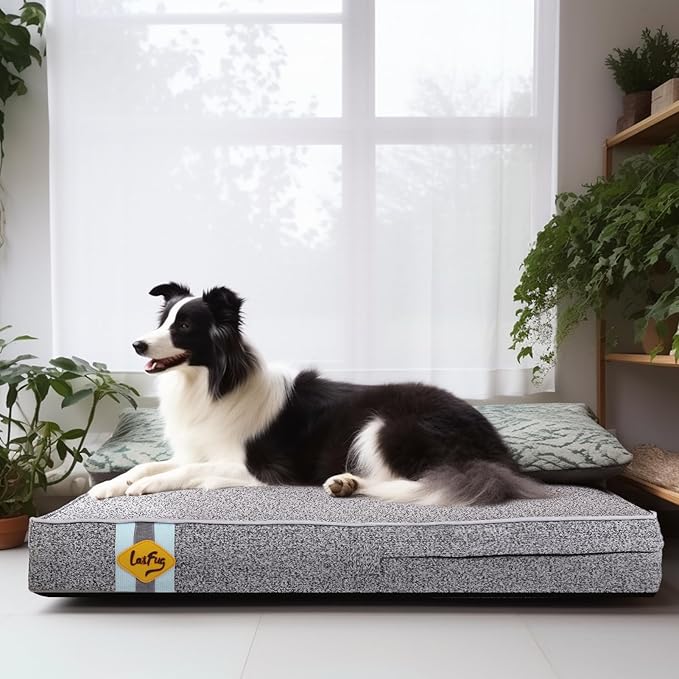Laifug Memory Foam Dog Bed
