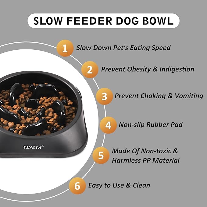 Pet Supplies Slow Feeder Dog Bowls Small Breed
