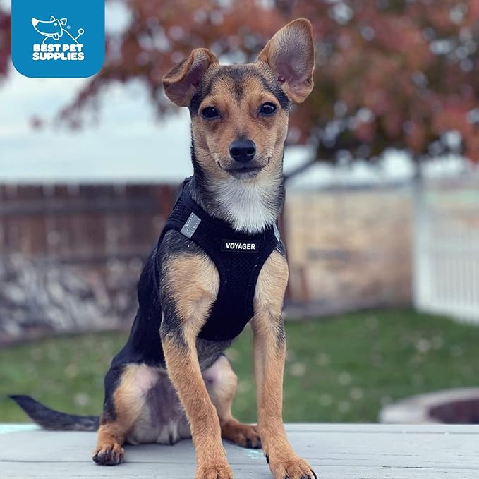 Voyager Step-in Air Dog Harness 16-18")