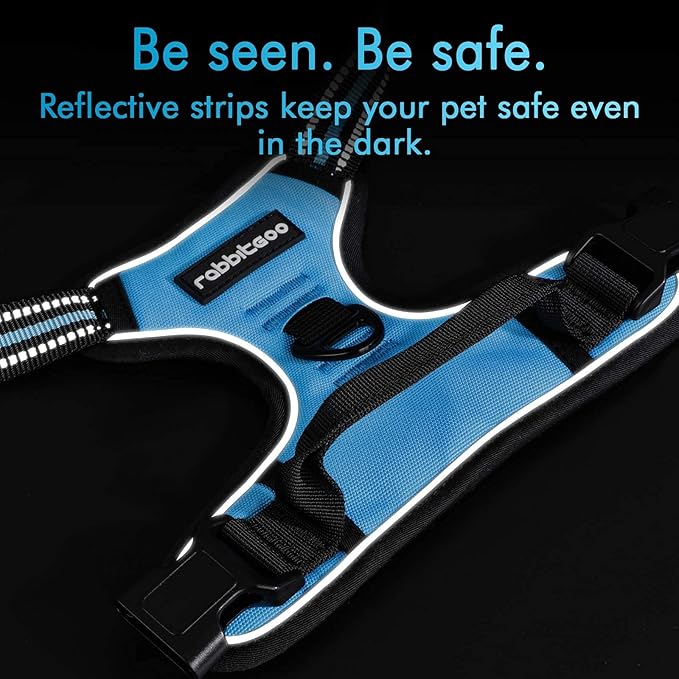rabbitgoo Dog Harness 2 Leash