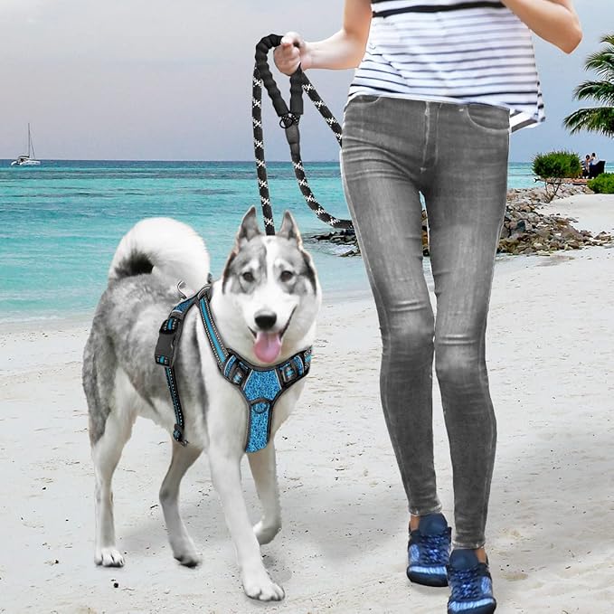BARKBAY No Pull Dog Harness Large Step in Reflective Dog Harness with Front Clip and Easy Control Handle for Walking Training Running with ID tag Pocket(Blue/Black
