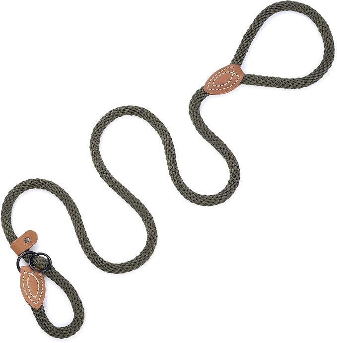 Mile High Life Slip Leads for Dogs 6 Feet
