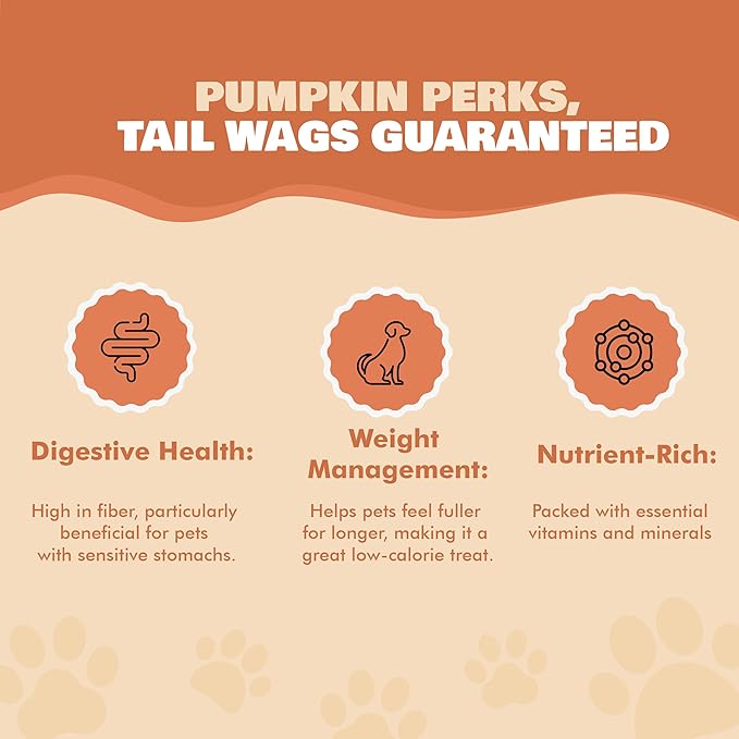 Benji & Louie Freeze Dried Pumpkin 2 oz