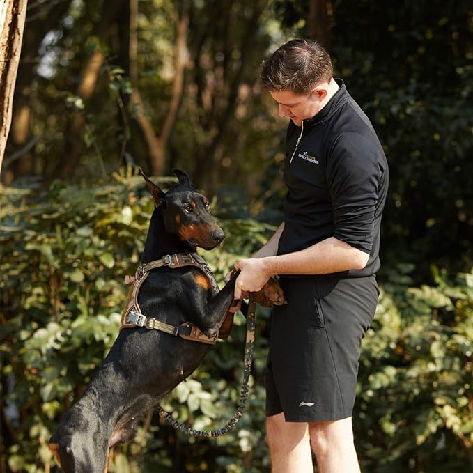BUMBIN Tactical Dog Harness for Large Dogs No Pull