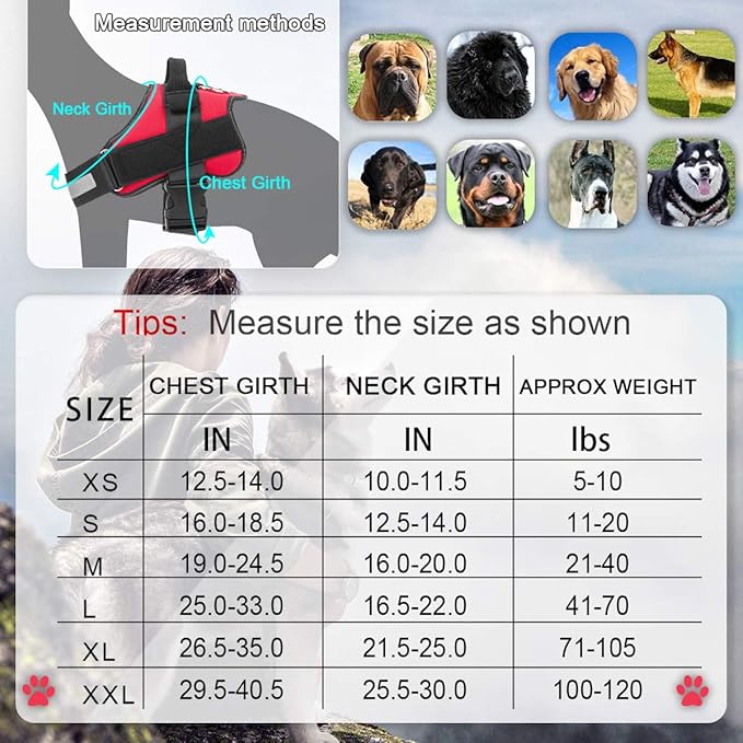 Bolux Dog Harness
