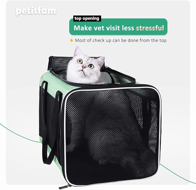 petisfam Easy Load Pet Carrier for Large 2 Cats