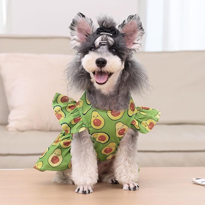 CuteBone Dog Dress Princess Puppy Birthday Dresses FX07L