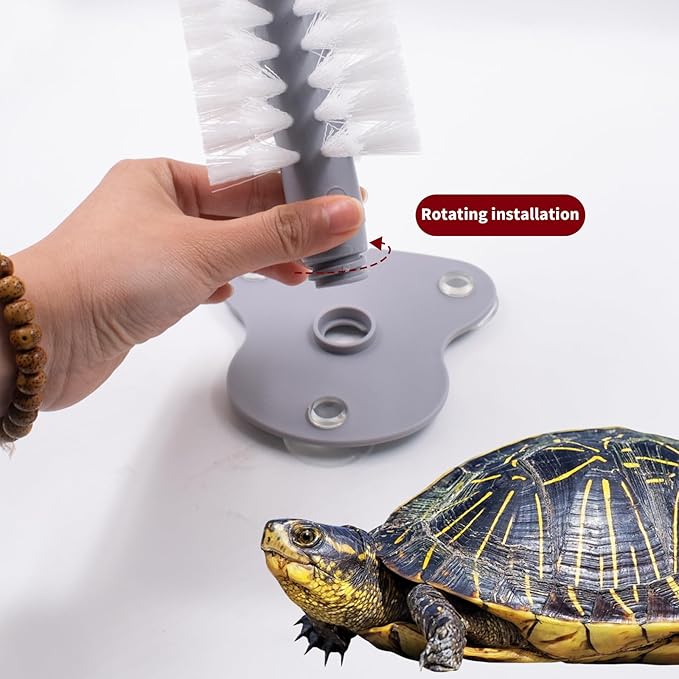 4 PCS Turtle Shell Brush with Suction Cup for Tank