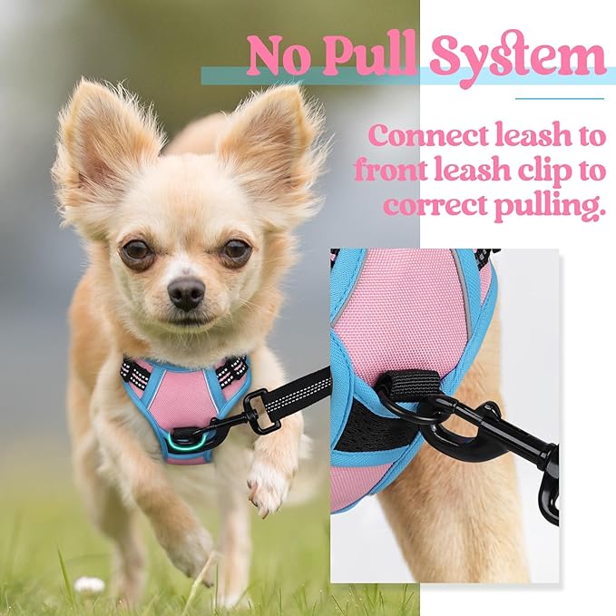 rabbitgoo Dog Harness 2 Leash