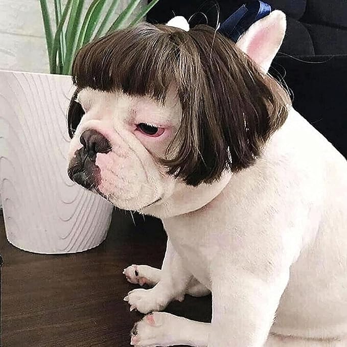 KSYVUCRD Funny Dog Wig with Free Grooming Comb for Small Medium Large Dogs