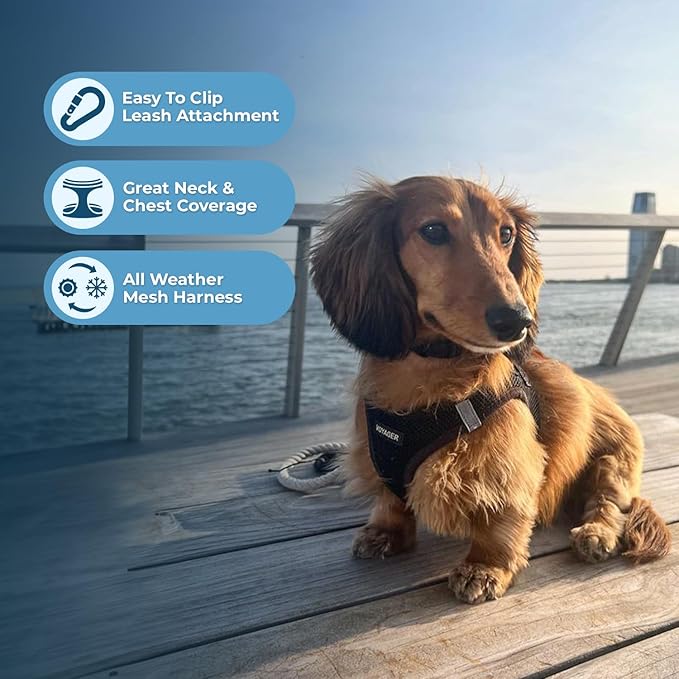Voyager Step-in Air Dog Harness 16-18")