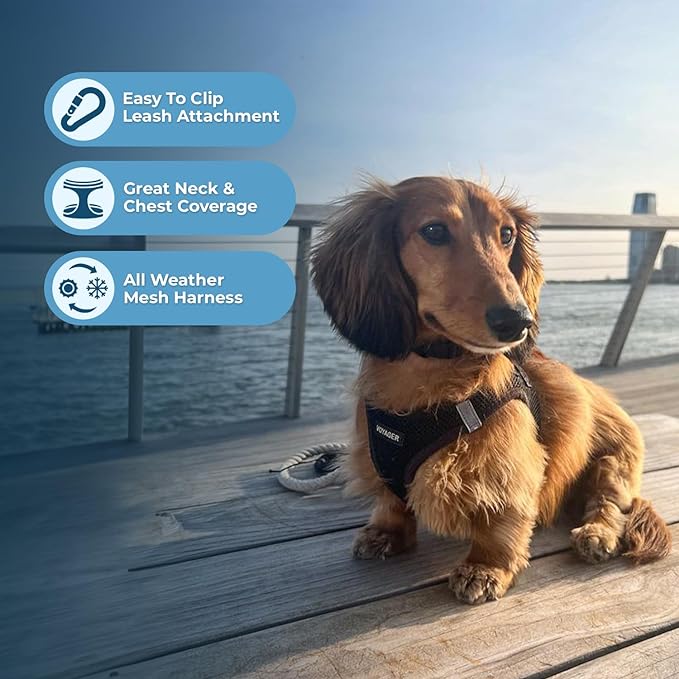 Voyager Step-in Air Cat Harness 10.5-13")