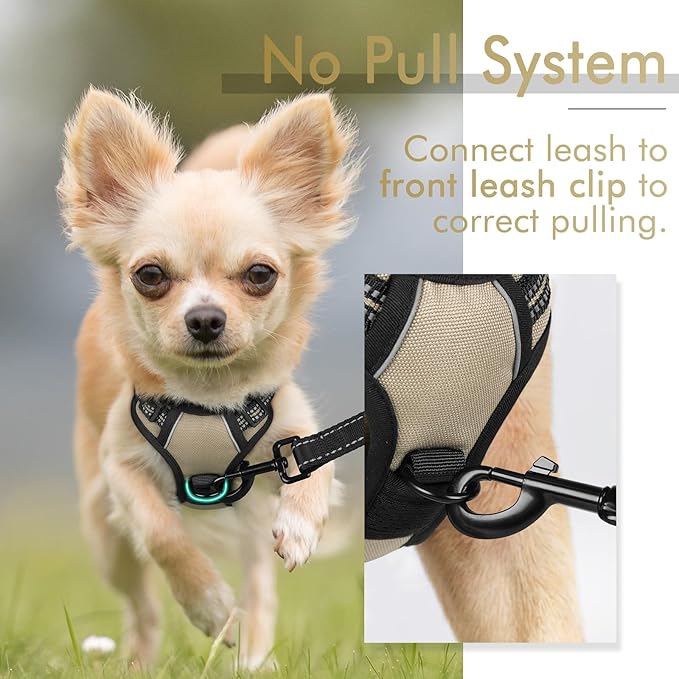 rabbitgoo Dog Harness 2 Leash